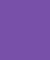 purple iris